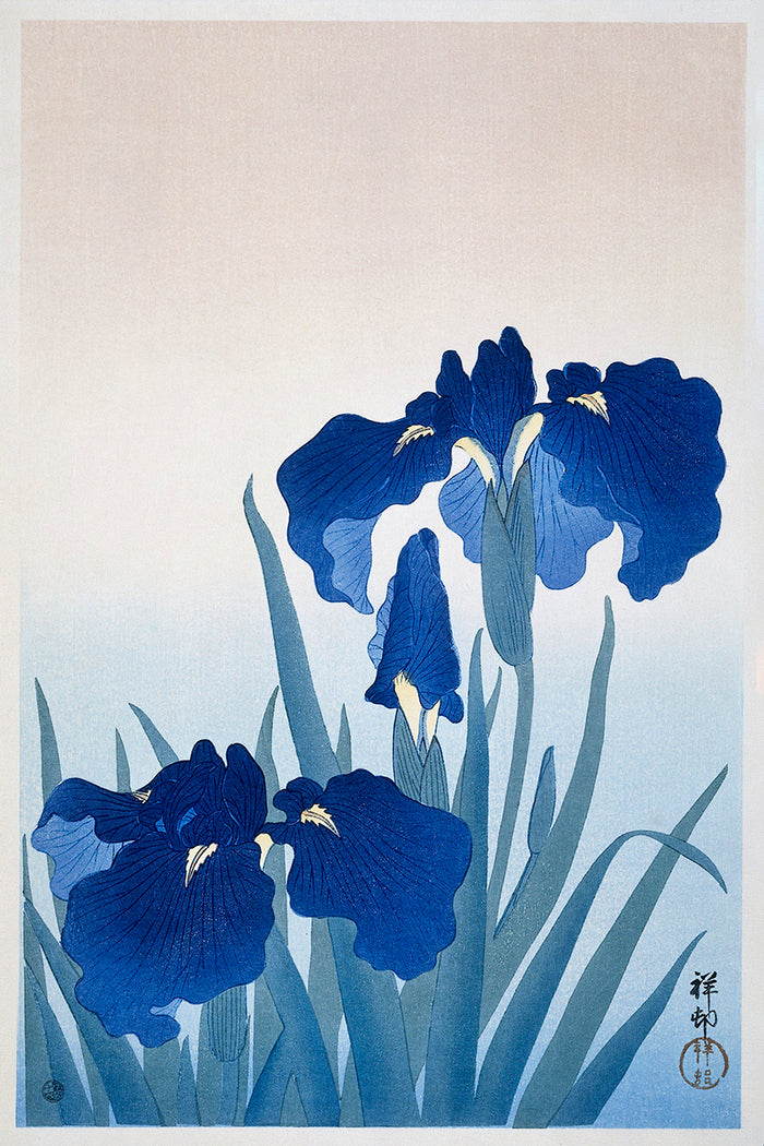 Iris flowers by Ohara Koson