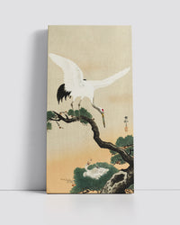 Japanese crane bird on branch of pine by Ohara Koson