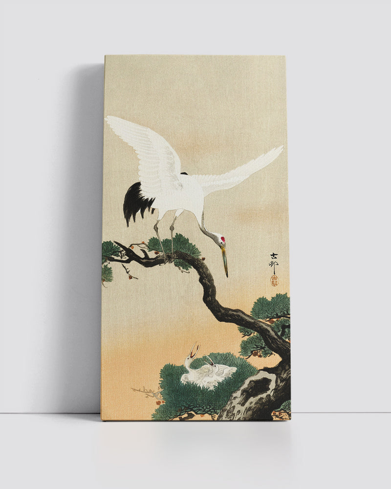 Japanese crane bird on branch of pine by Ohara Koson