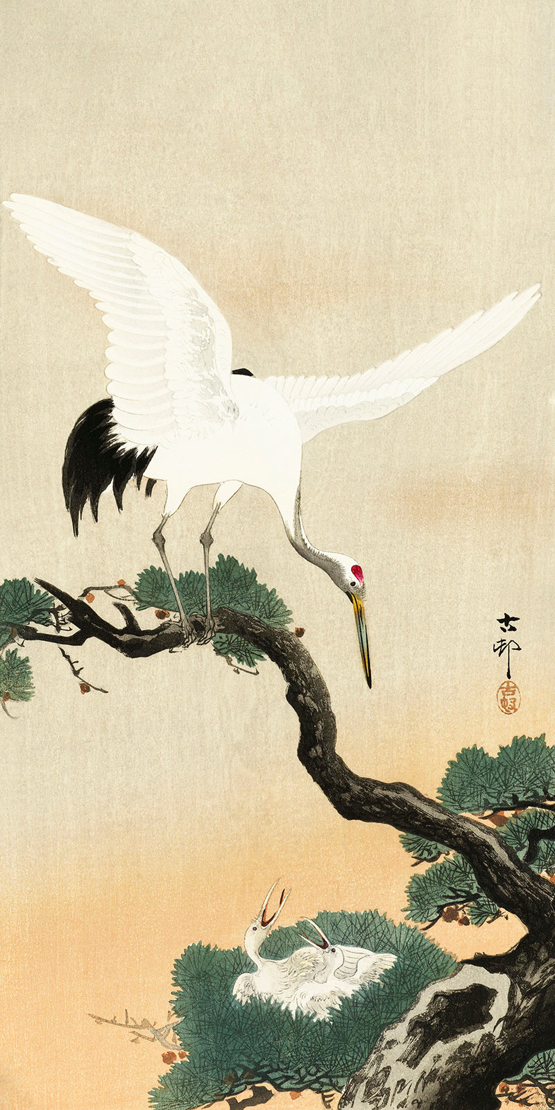 Japanese crane bird on branch of pine by Ohara Koson