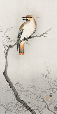 Japanese plague bird on branch by Ohara Koson