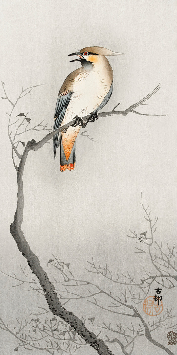 Japanese plague bird on branch by Ohara Koson