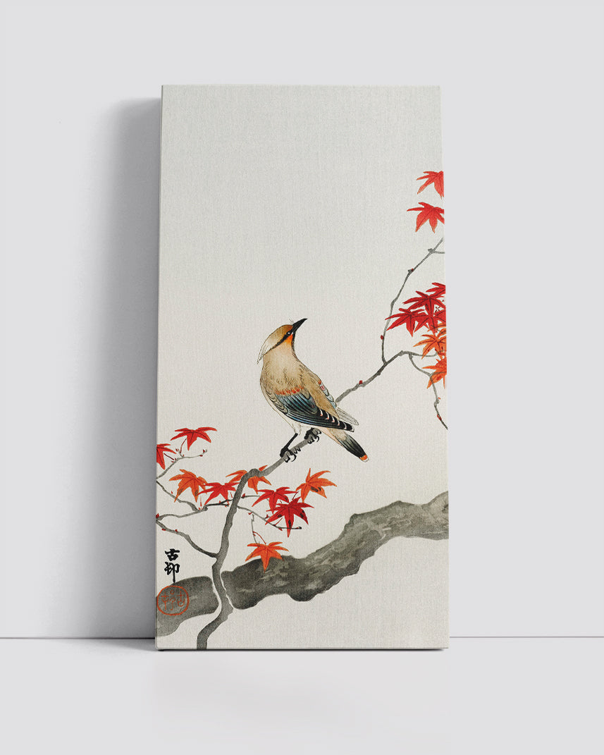 Japanese plague bird on maple by Ohara Koson