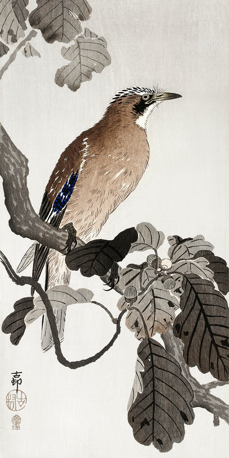 Jay on tree branch by Ohara Koson