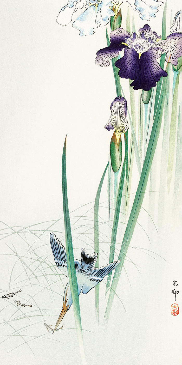 Kingfisher and irises by Ohara Koson