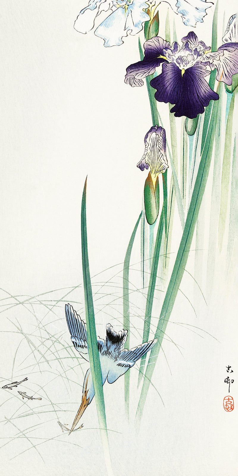 Kingfisher and irises by Ohara Koson