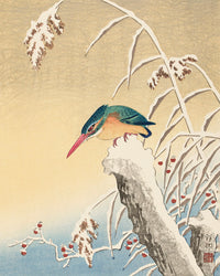 Kingfisher in the snow by Ohara Koson