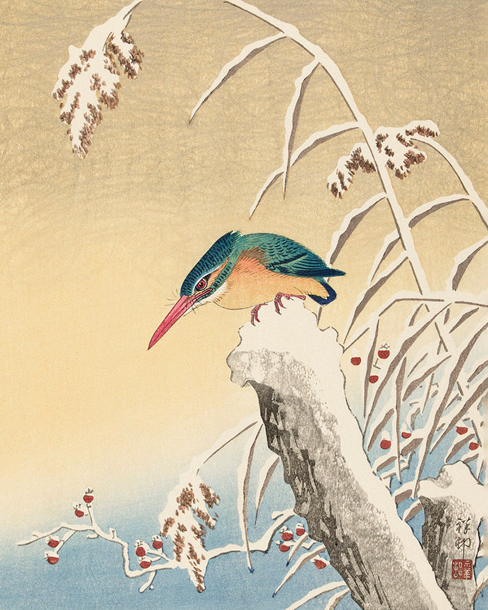 Kingfisher in the snow by Ohara Koson