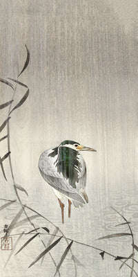 Kwak in rain by Ohara Koson