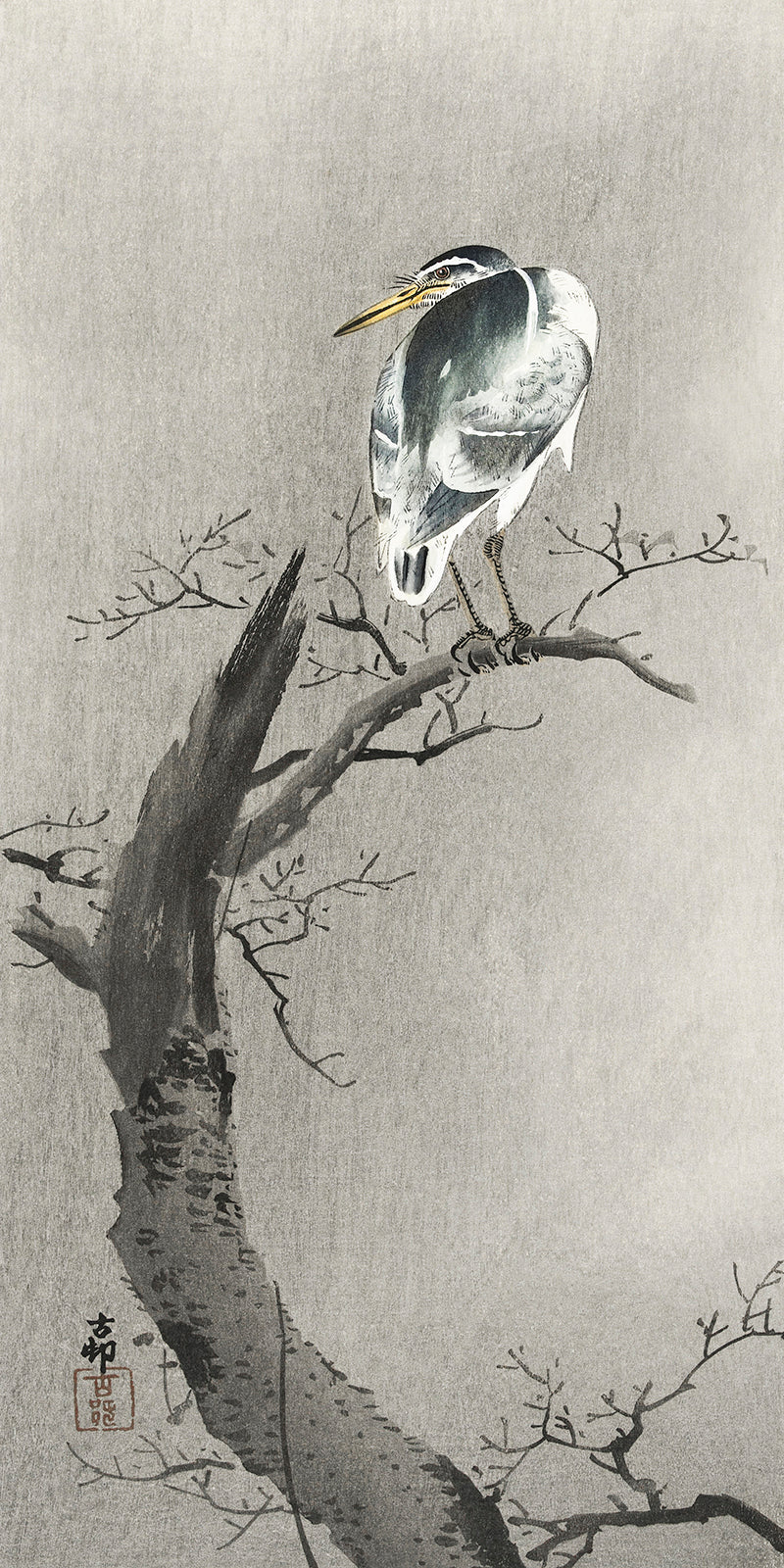 Kwak on branch by Ohara Koson