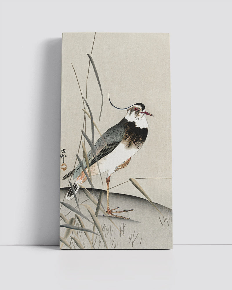 Lapwing and reed by Ohara Koson