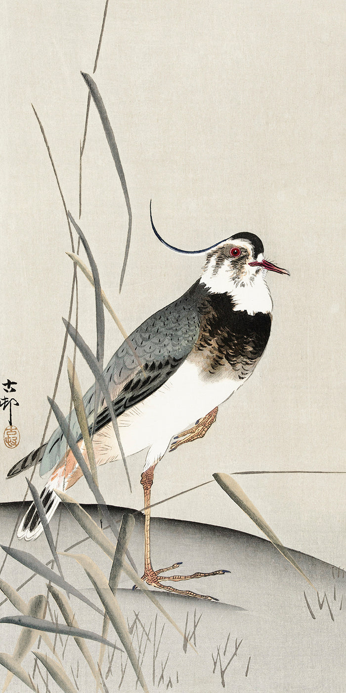 Lapwing and reed by Ohara Koson