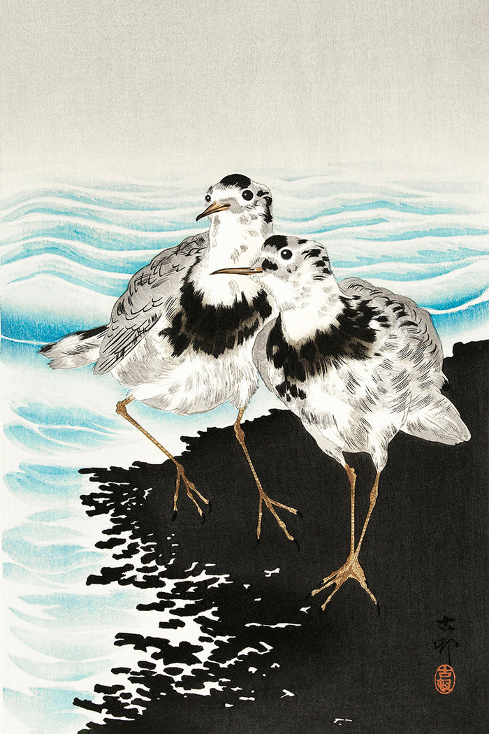 Large coot sandpipers by Ohara Koson