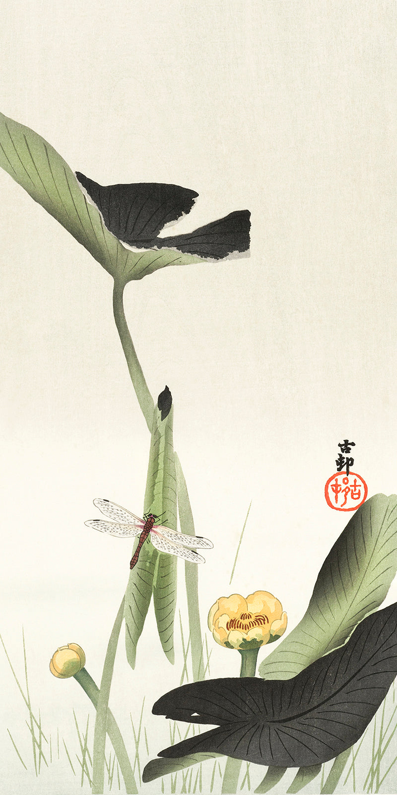 Libelle and lotus by Ohara Koson