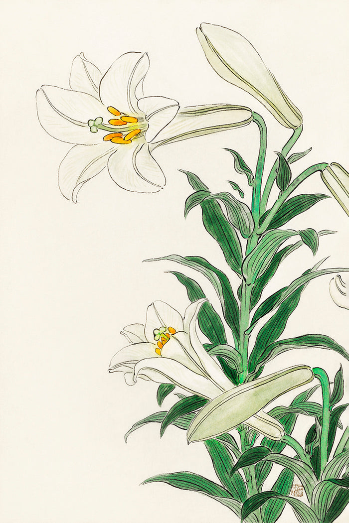 Lilies by Ohara Koson