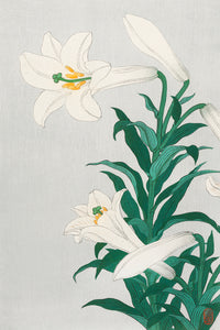 Lilies by Ohara Koson