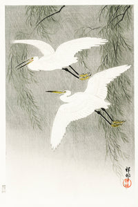 Little Egrets in flight by Ohara Koson