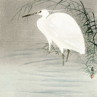 Little egret by Ohara Koson