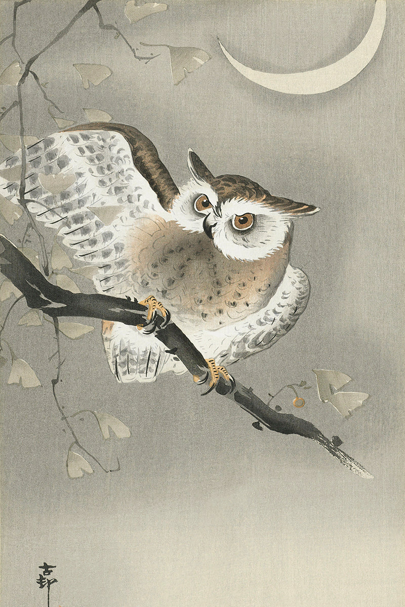 Long-eared owl in ginkgo by Ohara Koson