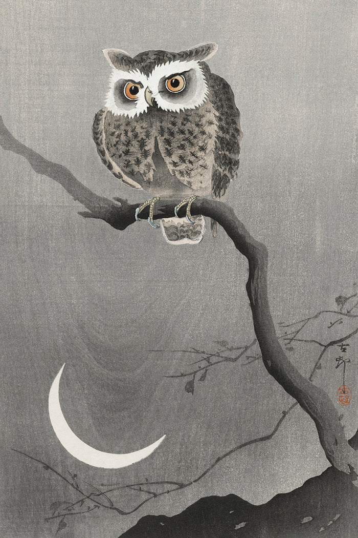 Long-eared owl on bare tree branch by Ohara Koson