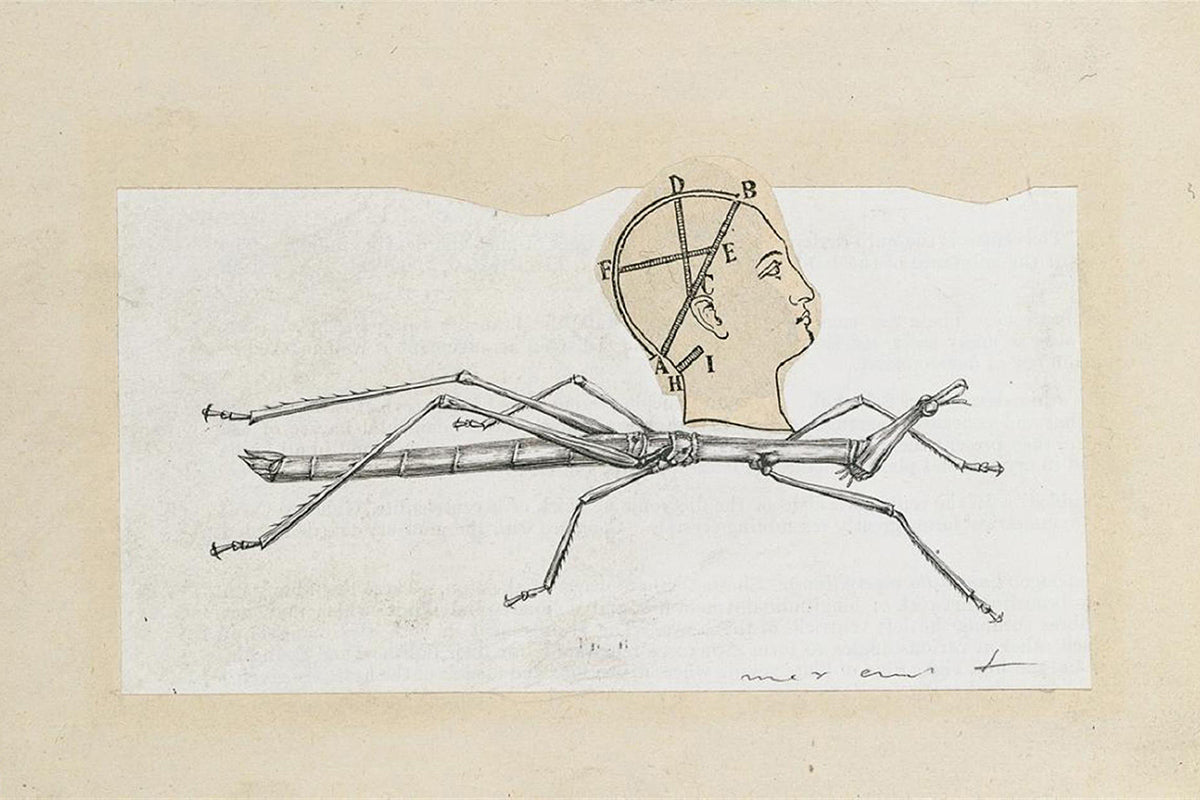 Ohne Titel Journal dun by Max Ernst