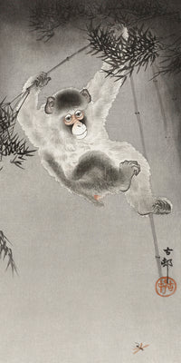 Monkey, hanging from bamboo branch by Ohara Koson