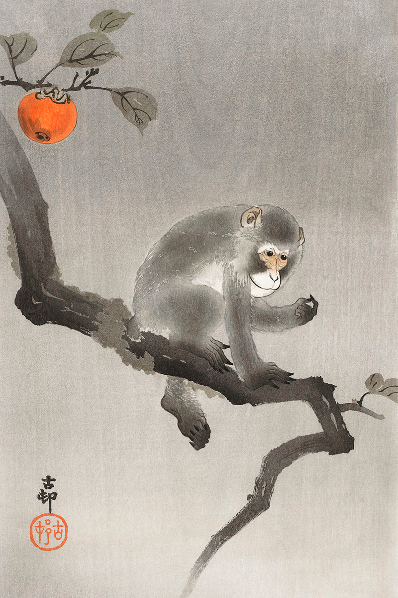 Monkey in cockatoo by Ohara Koson