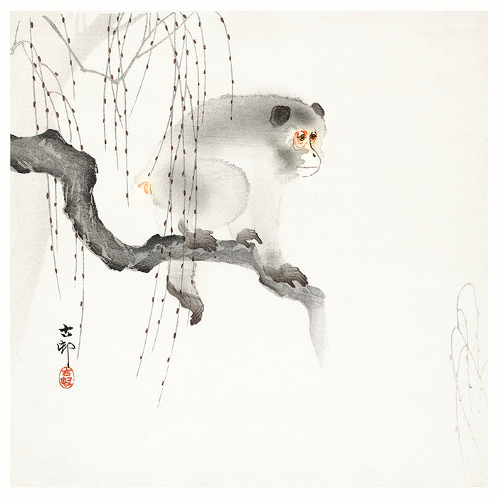 Monkey on a tree branch by Ohara Koson