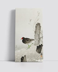 Moorhen-1 by Ohara Koson