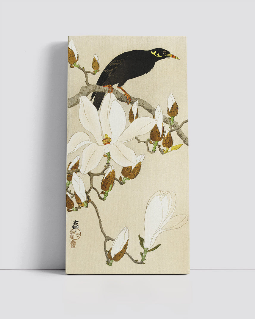 Myna on Magnolia Branch by Ohara Koson