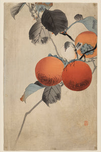 Nuthatcher atop Persimmons  by Ohara Koson