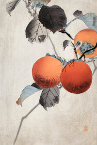 Nuthatcher atop Persimmons  by Ohara Koson