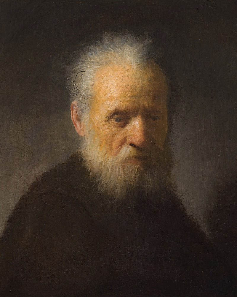 Old Man with a Beard by Rembrandt Harmenszoon van Rijn
