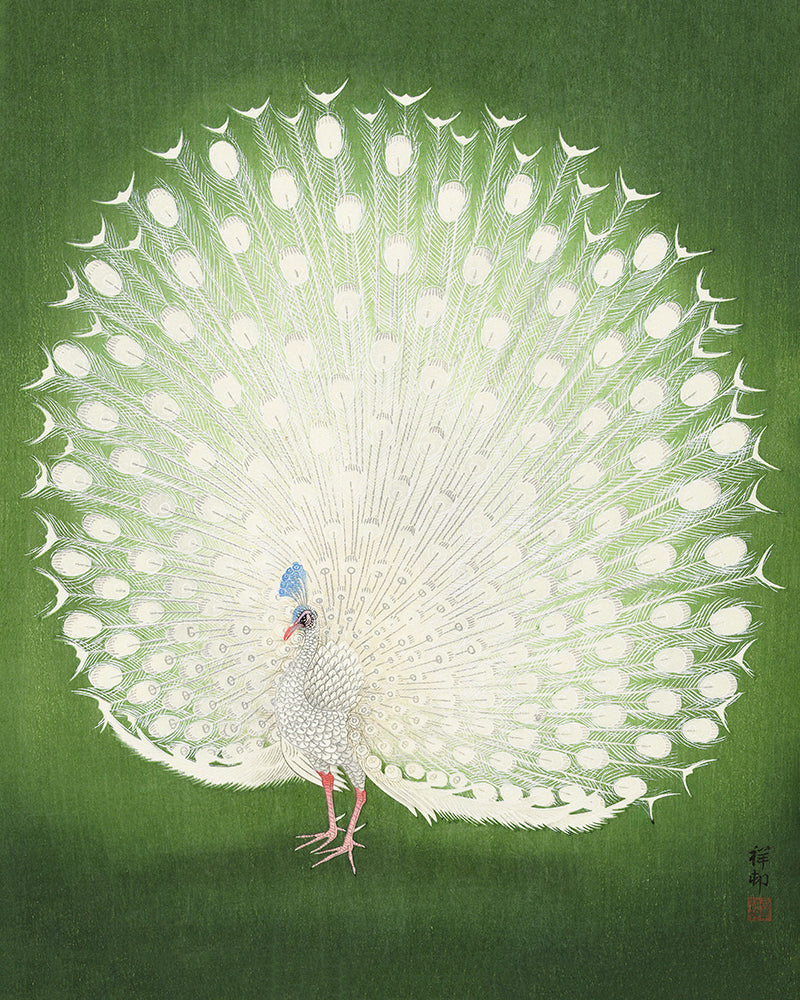 Peacock  by Ohara Koson