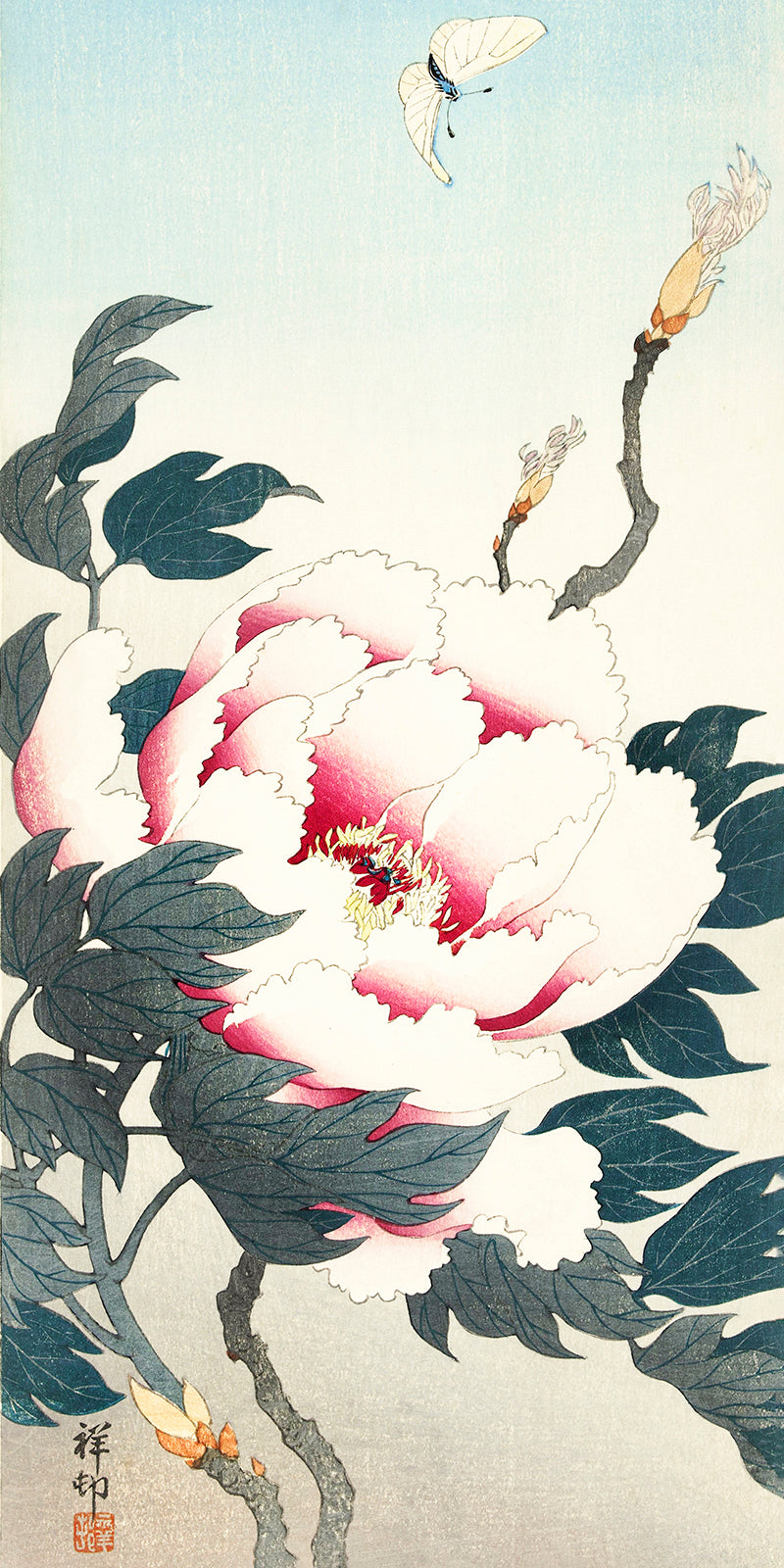 Peony with butterfly by Ohara Koson