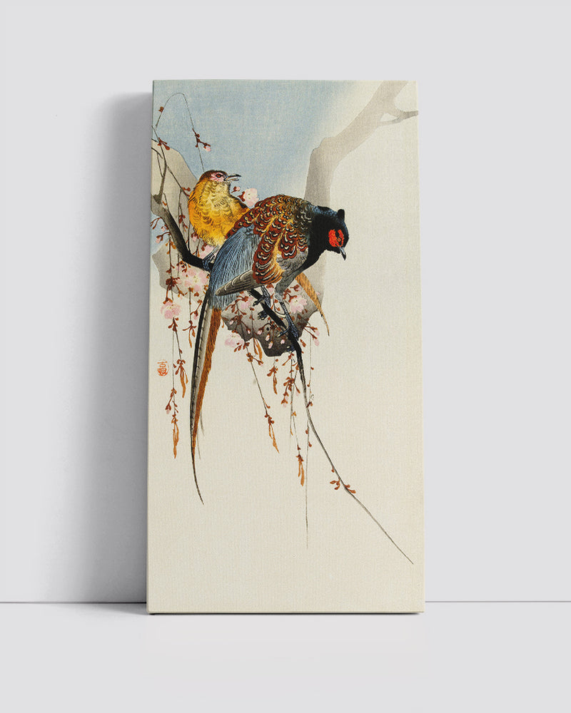 Pheasant couple and plum blossom by Ohara Koson