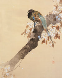 Pheasant on cherry blossom branch by Ohara Koson