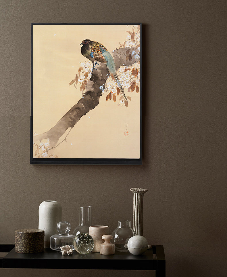 Pheasant on cherry blossom branch by Ohara Koson