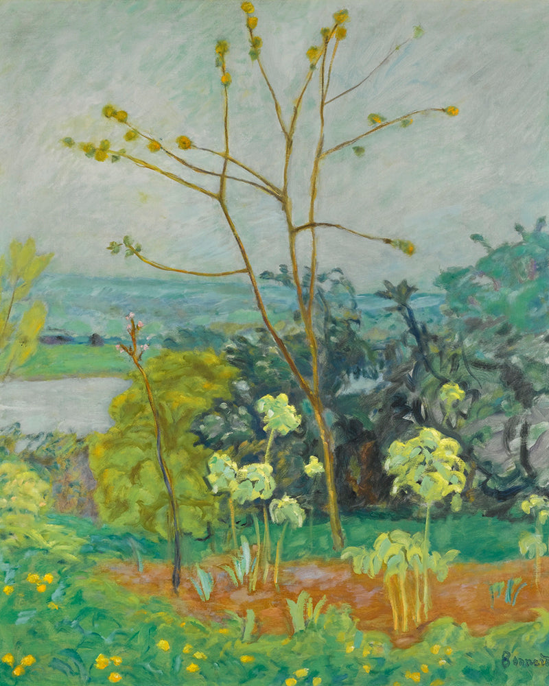 JARDIN AU BORD DE LA SEINE by Pierre Bonnard