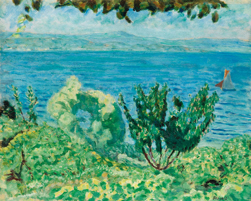 MARINE SAINT-TROPEZ OU LES ARBRES ET LA MER by Pierre Bonnard