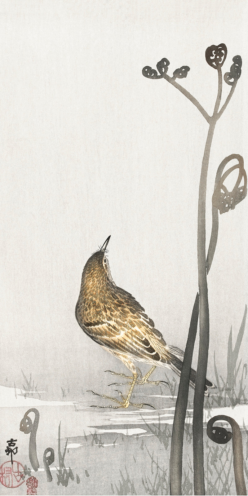 Pipit on a waterfront by Ohara Koson