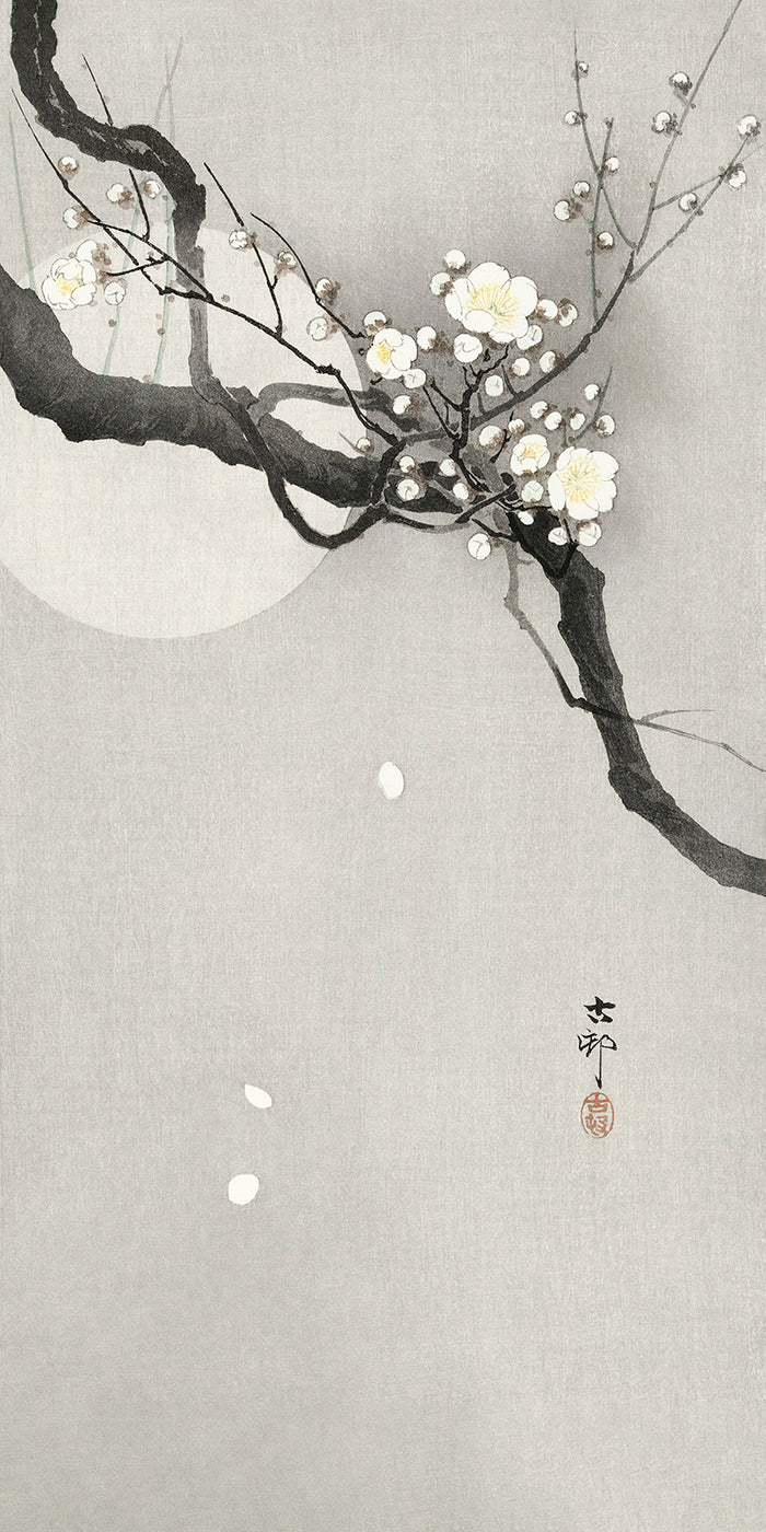 Plum blossom and full moon by Ohara Koson