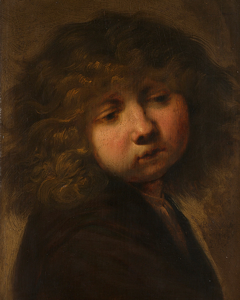 Portrait of a boy by Rembrandt Harmenszoon van Rijn