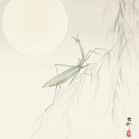 Praying mantis by Ohara Koson