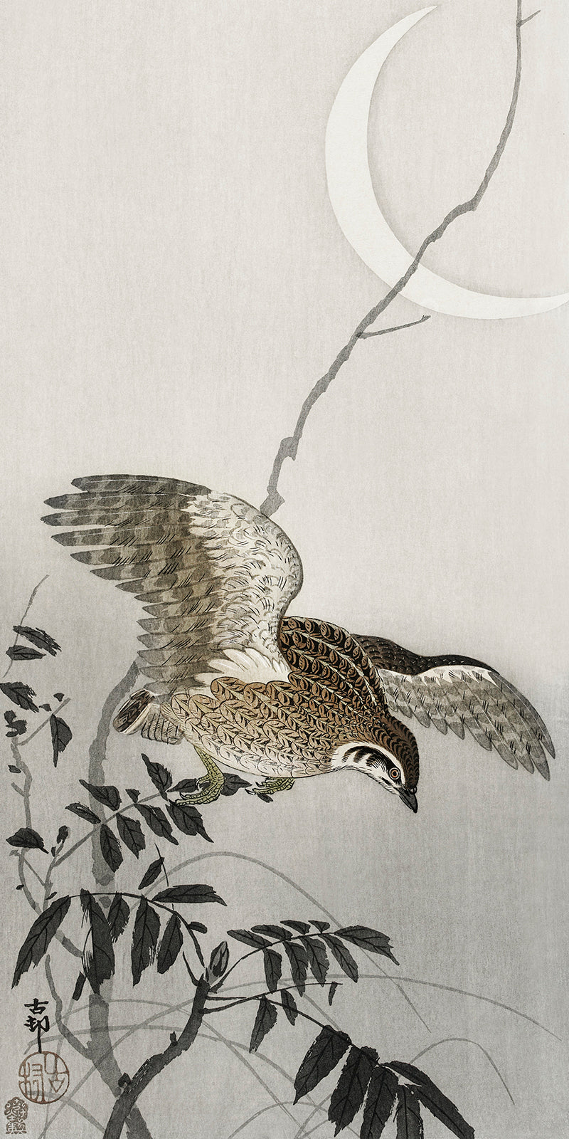 Quail at moon sickle by Ohara Koson