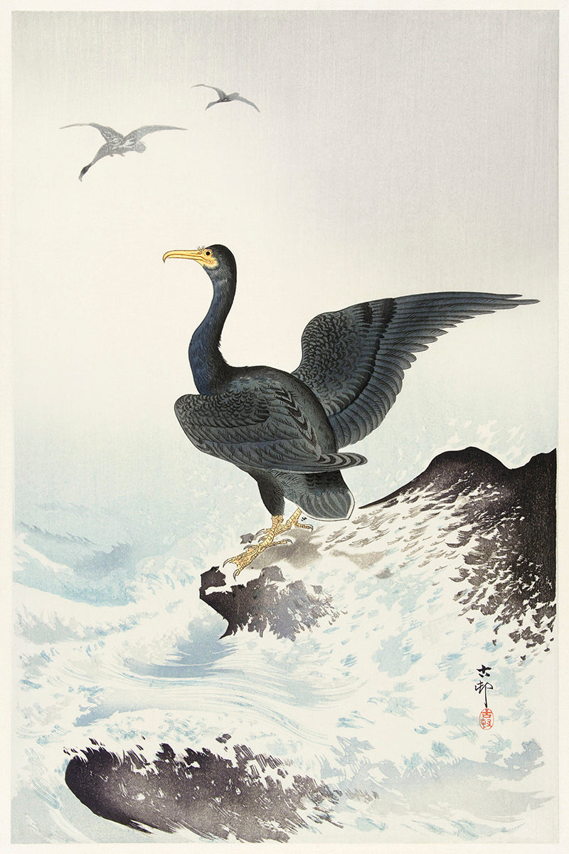 Red mask cormorant on rock by Ohara Koson