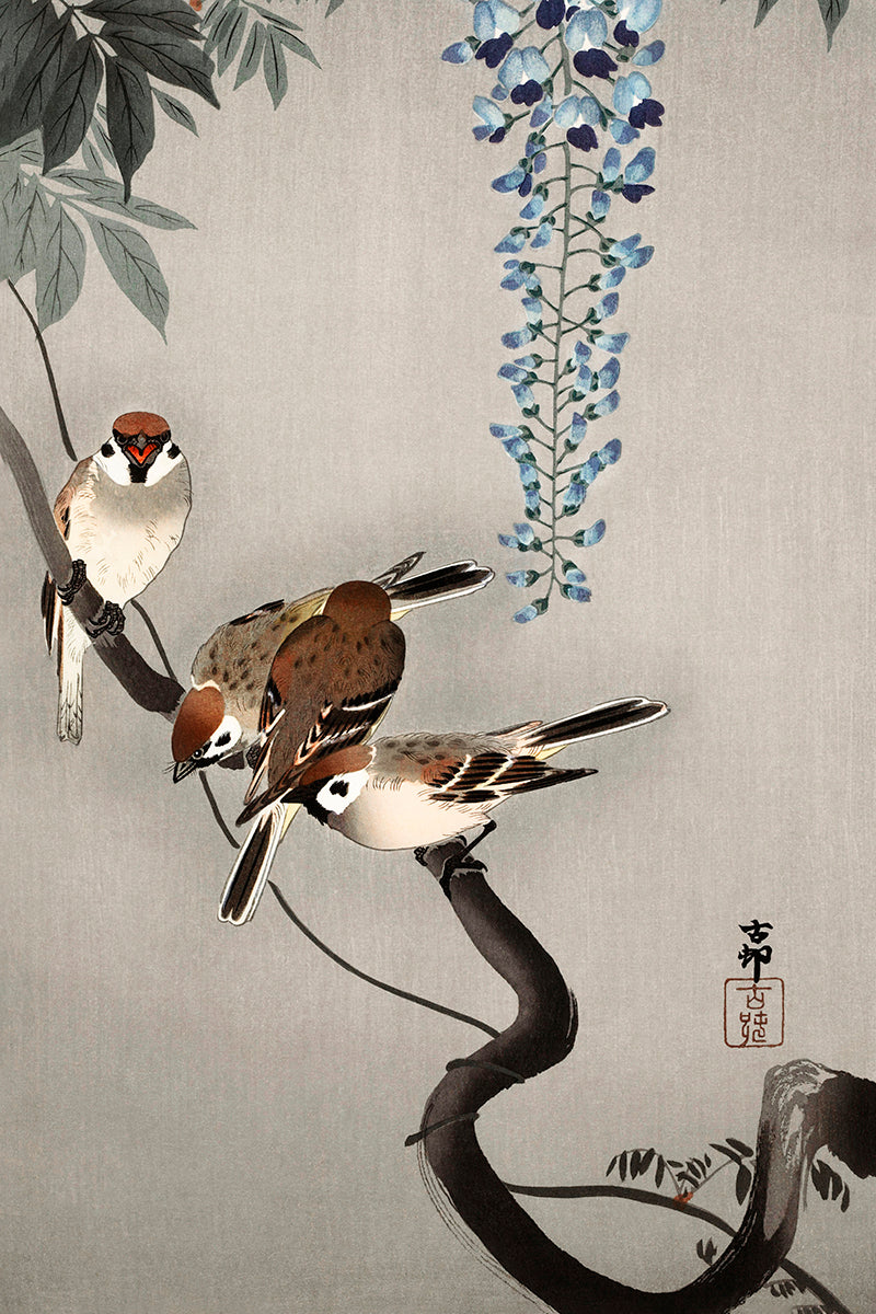 Ring sparrows at wisteria by Ohara Koson