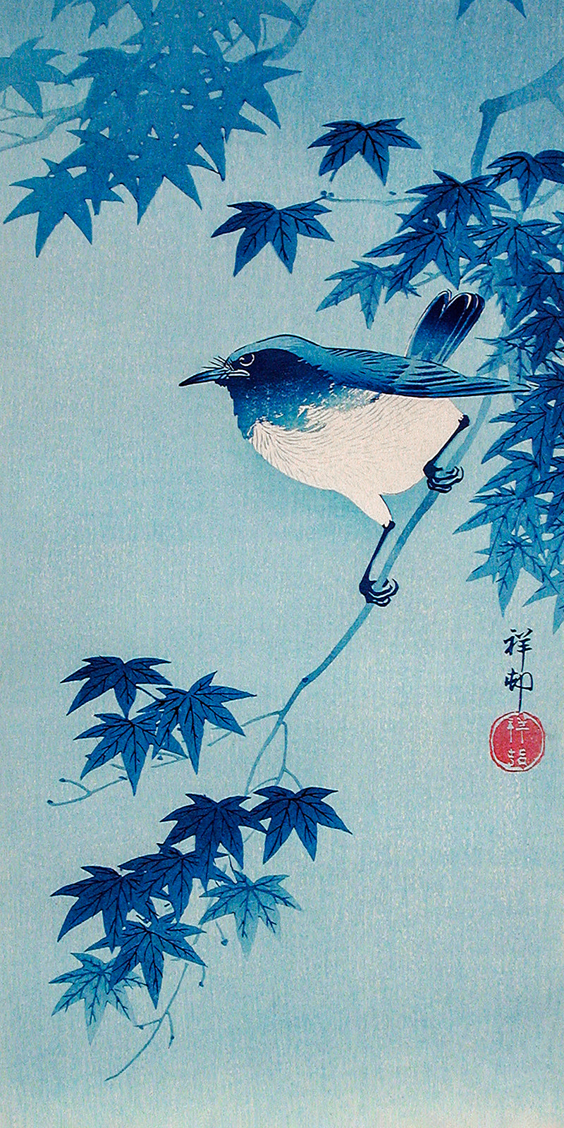 Robin on a Maple Branch by Ohara Koson