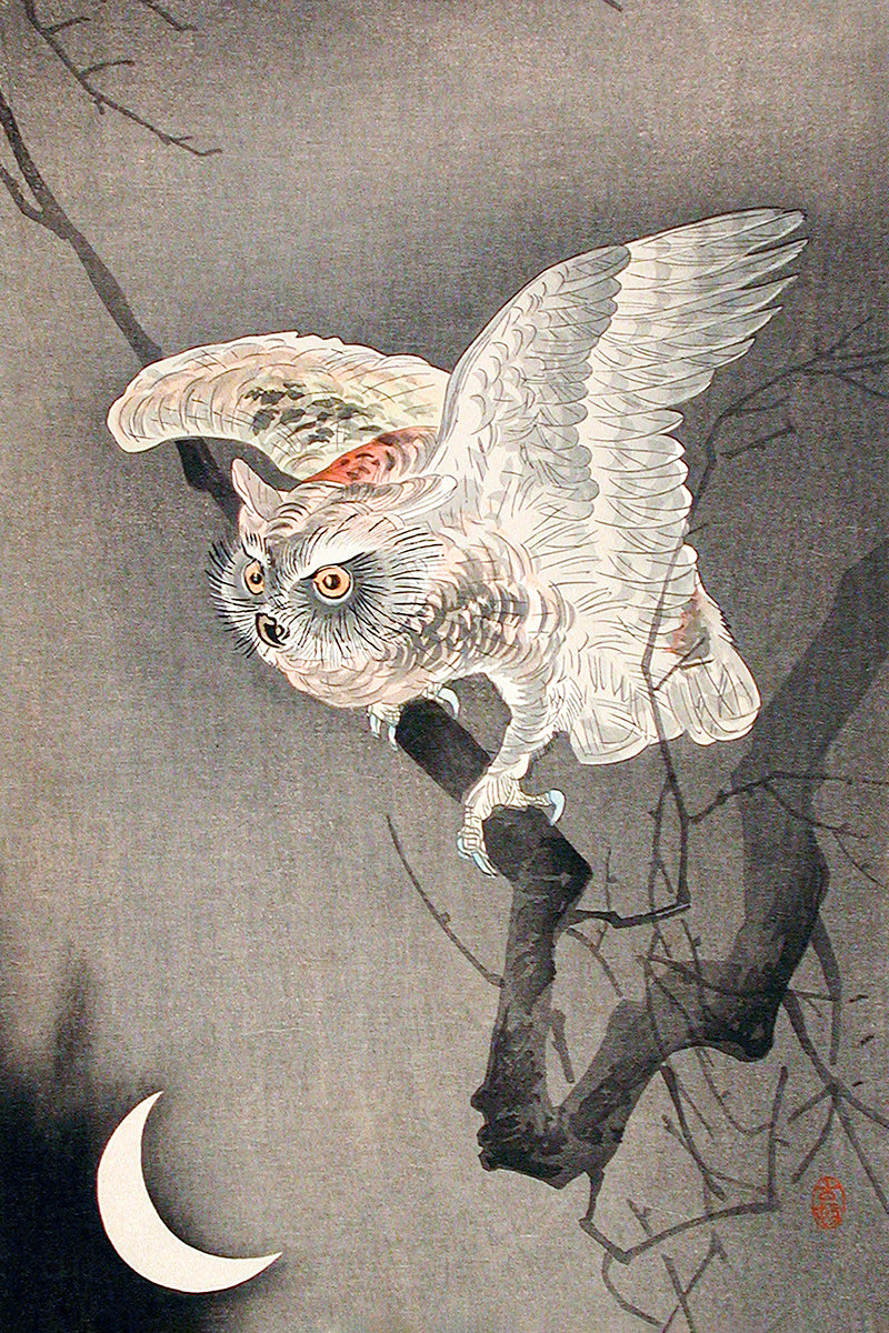 Scops Owl in Moonlight by Ohara Koson