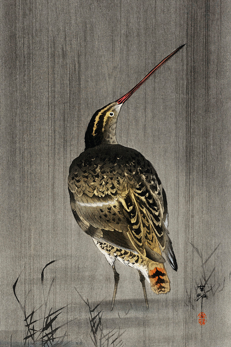 Snipe in the rain by Ohara Koson